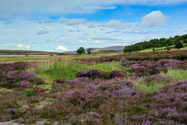 Campagne Lochindorb Jour — Photo