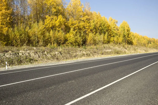 Herfst Schetsen Landschappen Aard Van Siberië Buurt Van Stad Van — Stockfoto