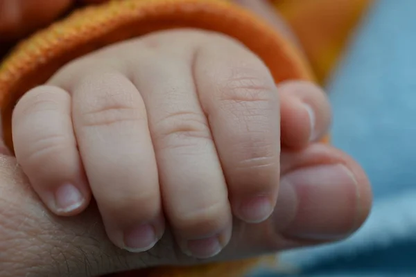 Die Hand Des Babys Hält Einen Finger Seines Vaters Orange — Stockfoto