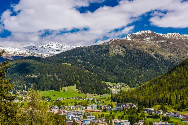 Alpes Montagnes Couvertes Pinèdes Davos Graubuenden Suisse — Photo
