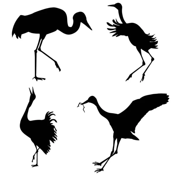 Silhouettes Cranes White Background — Stock Photo, Image