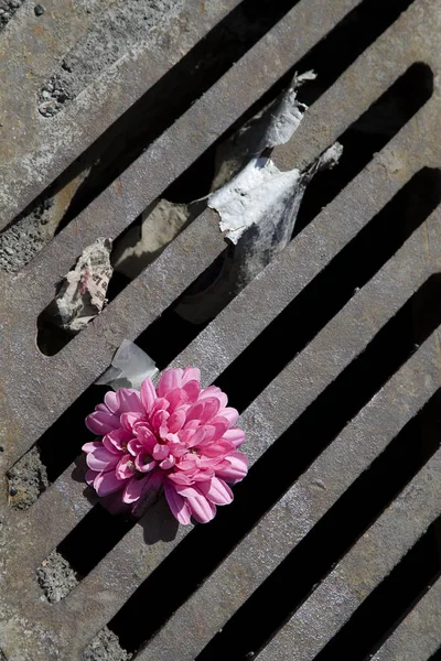 쓰레기 누워있는 분홍색 — 스톡 사진