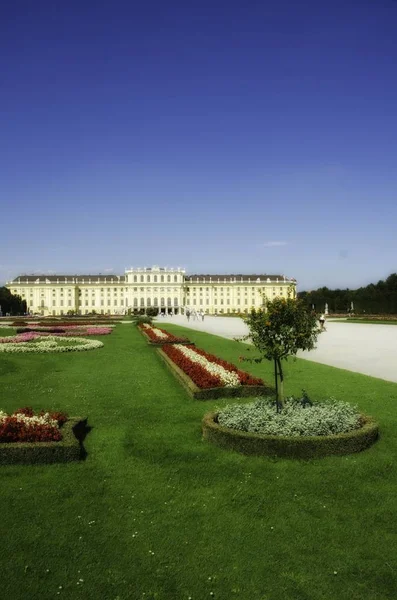 Ogród Kwiaty Wewnątrz Zamku Schonbrunn Wiedeń — Zdjęcie stockowe