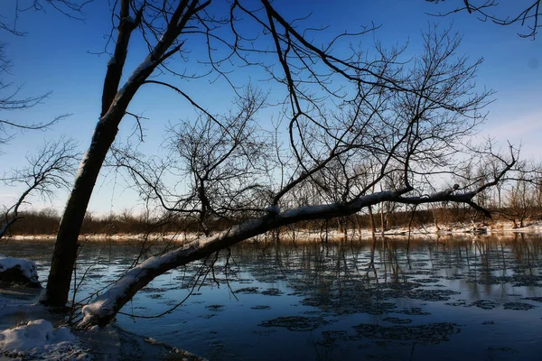 Illinois Buzlu Tilki Nehri — Stok fotoğraf