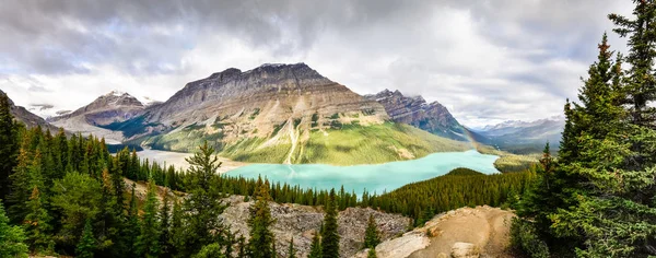 Panorámás Kilátás Nyílik Peyto Sziklás Hegység Alberta Kanada — Stock Fotó