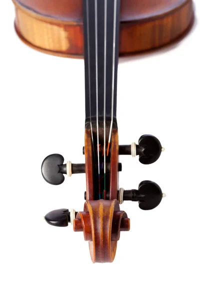 Violino Isolado Blackground Branco Perto — Fotografia de Stock