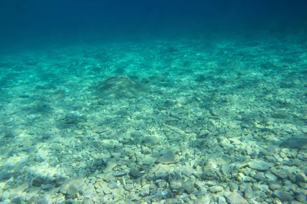 Vue Sous Marine Fond Eau Claire Transparente Fond Mer Surface — Photo