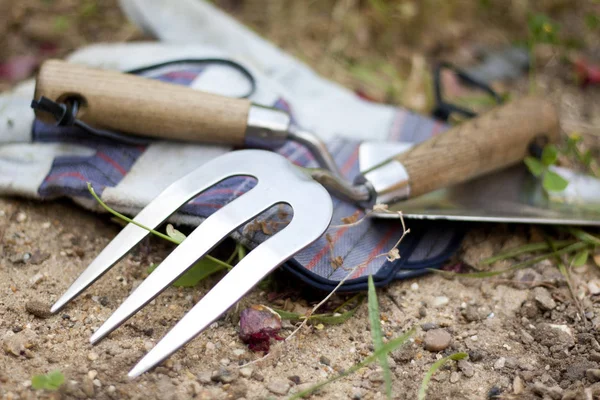 Garden Tools Stainless Steel Trowel Rake Pair Gloves — Stock Photo, Image