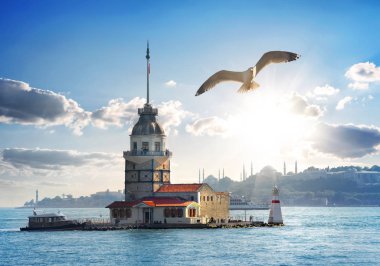 Seagull flying near Maiden's Tower in Istanbul at day, Turkey clipart