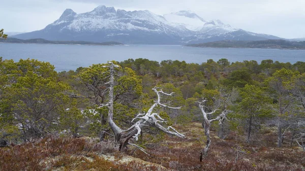 Vista Panoramica Del Paesaggio Nordland Giorno — Foto Stock