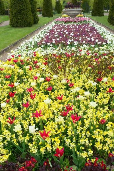 Virágok Parkban — Stock Fotó