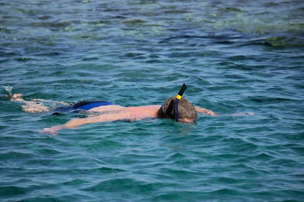 Snorkeller Maskou Snorkeem — Stock fotografie