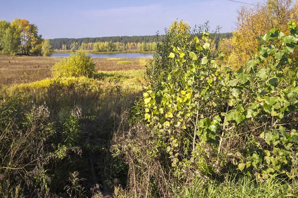 Podzimní Náčrtky Krajiny Přírody Sibiře Poblíž Město Tobolsk — Stock fotografie