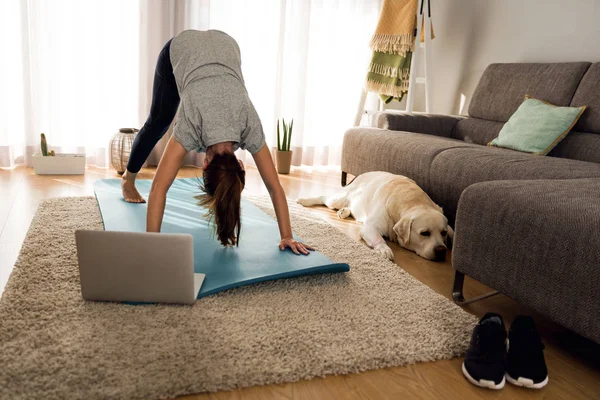 Shot Woman Doing Exercise Home Her Dog — Stock Photo, Image