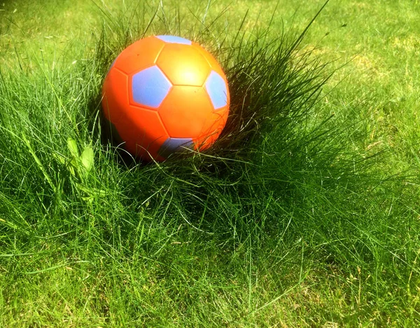 잔디밭의 주황색과 파란색 — 스톡 사진