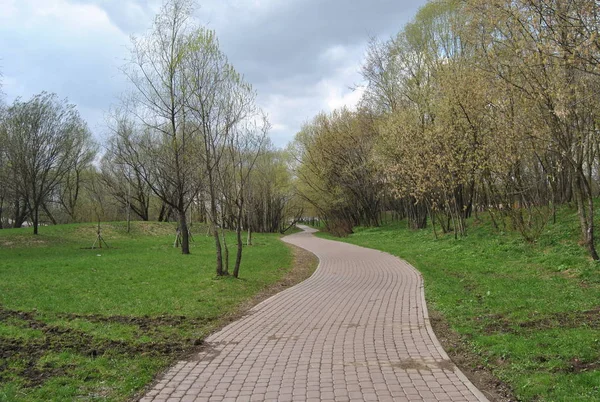 Accurate Path Stone Moscow Park Spring — Stock Photo, Image