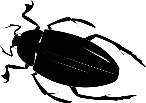 Black Schematic Beetle White Background — Stock Photo, Image