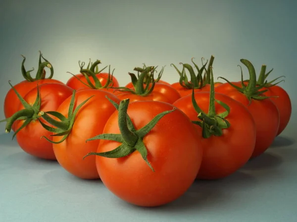 Tomatoes Arranged Gray Background — Stock Photo, Image