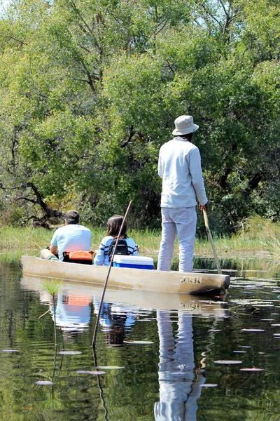 Przejażdżka Tradycyjnym Kajakiem Okavango Delta Mokoro Przez Pokrytą Trzciną Wodę — Zdjęcie stockowe