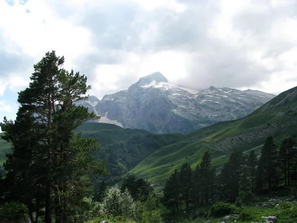 Εφεδρεία Άνοιξη Αρχηγός Καυκάσιος Σπονδυλική Στήλη Κορυφές Βουνό Δάσος Απόσταση — Φωτογραφία Αρχείου