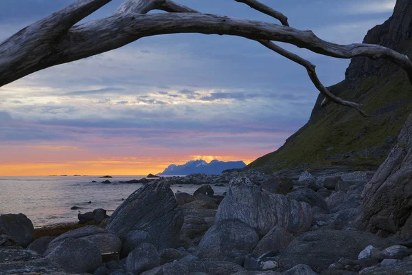 Praia Rochosa Ilhas Lofoten Norway — Fotografia de Stock