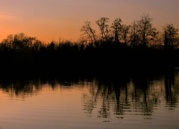 木々のシルホエットが入った湖の夕日 — ストック写真