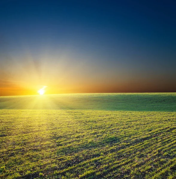 Puesta Sol Sobre Campo Verde —  Fotos de Stock