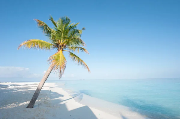 Strand Maldiverna — Stockfoto