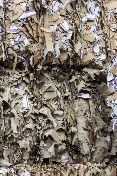 Atık Kağıt Geri Dönüşüm Detay — Stok fotoğraf