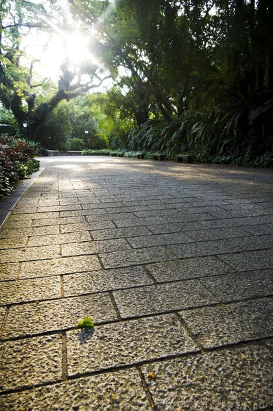 Camino Pavimentado Parque — Foto de Stock