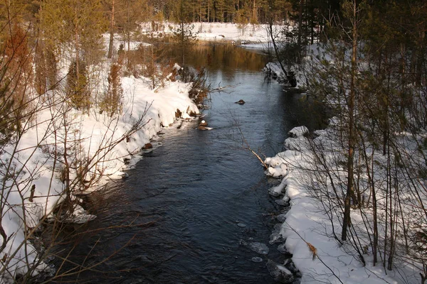 Liten Flod Vintern Forrest — Stockfoto