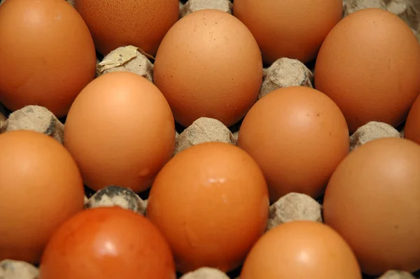 Яйцо Содержащее Хорошее Питание Тела — стоковое фото