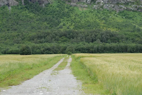 Güzel Doğa Manzarasının Manzarası — Stok fotoğraf