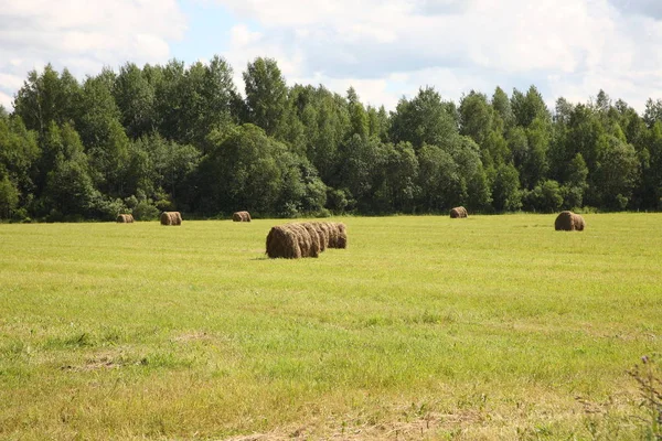 Paisaje Rural Franjas Campo Rusia — Foto de Stock