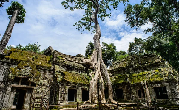 Prohm Construído Pelo Rei Khmer Jayavarman Vii Como Mosteiro Budista — Fotografia de Stock