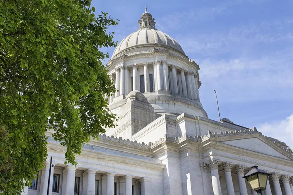 Edificio Del Capitolio Del Estado Washington Olympia Enmarcado Por Follaje — Foto de Stock