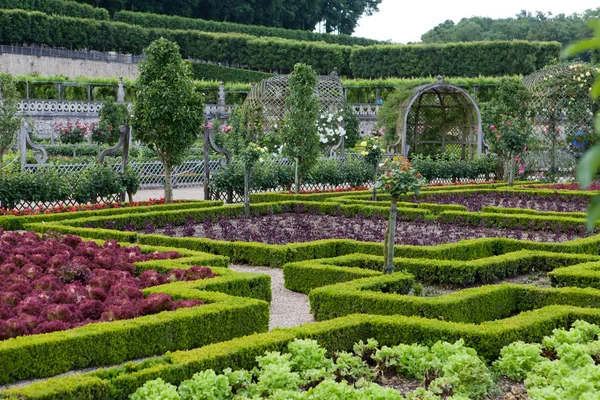花园和在法国卢瓦尔河谷城堡 Villandry — 图库照片