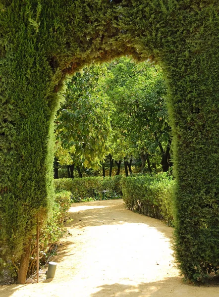 Arco Esculpido Los Arbustos Del Jardín Del Real Alcázar Sevilla —  Fotos de Stock