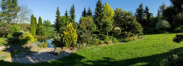 Hermoso Diseño Jardín Primavera Con Árboles Coníferas Hierba Verde Sol — Foto de Stock