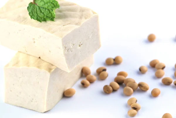 Tofu Soja — Foto de Stock