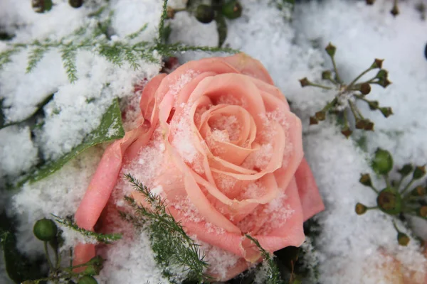Ένα Μεγάλο Ροζ Τριαντάφυλλο Καλυμμένο Χιονονιφάδες — Φωτογραφία Αρχείου