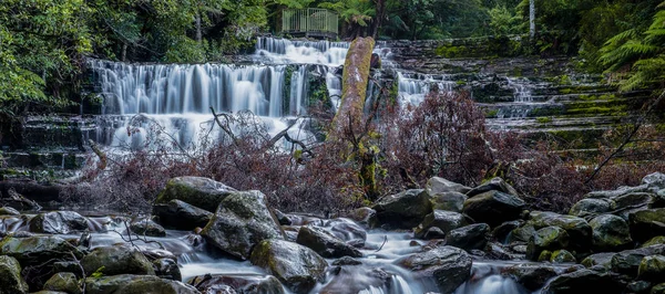 Belle Liffey Falls Nella Regione Delle Midlands Tasmania Dopo Forti — Foto Stock