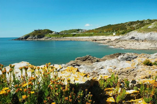Costa Swansea Gales Con Roca Mar Plantas Cielo — Foto de Stock
