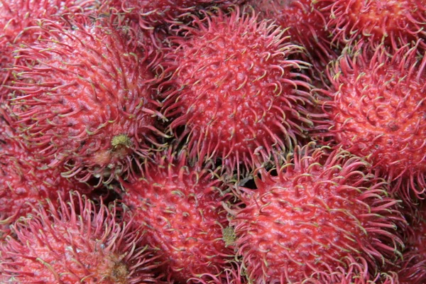 Primer Plano Una Fruta Rambután Peluda Roja — Foto de Stock