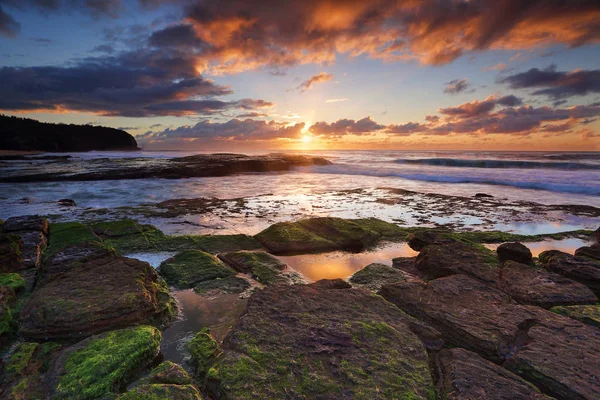 Turrimetta Beach Ten Gün Doğumu Sidney — Stok fotoğraf