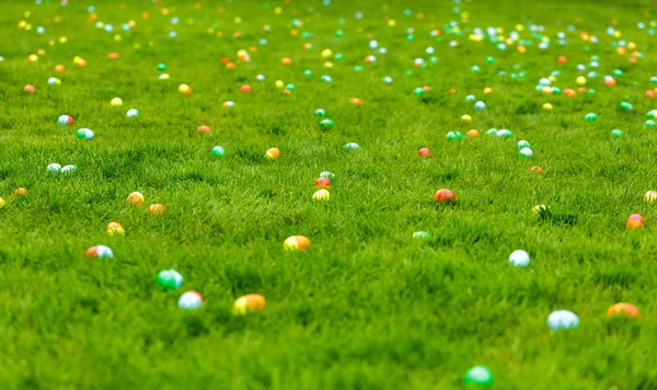 Prado Primavera Com Ovos Páscoa Escondidos Grama — Fotografia de Stock