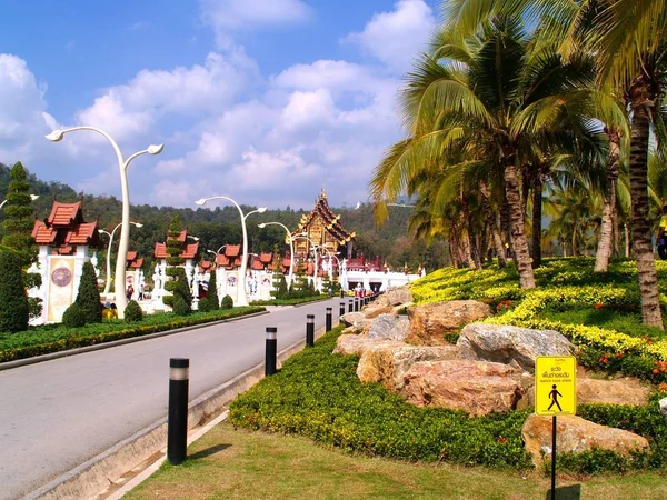 Flora Reale Expo Chiangmai Thailandia — Foto Stock