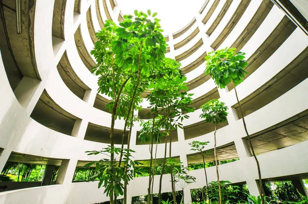 Grön Trädgård Parkering Byggnad — Stockfoto