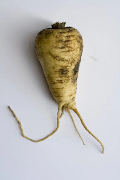 Weird Parsnip and roots on plain background