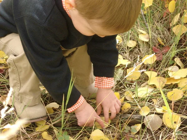 Colorado Sonbaharda Dışarıda Oynayan Genç Bir Çocuk — Stok fotoğraf